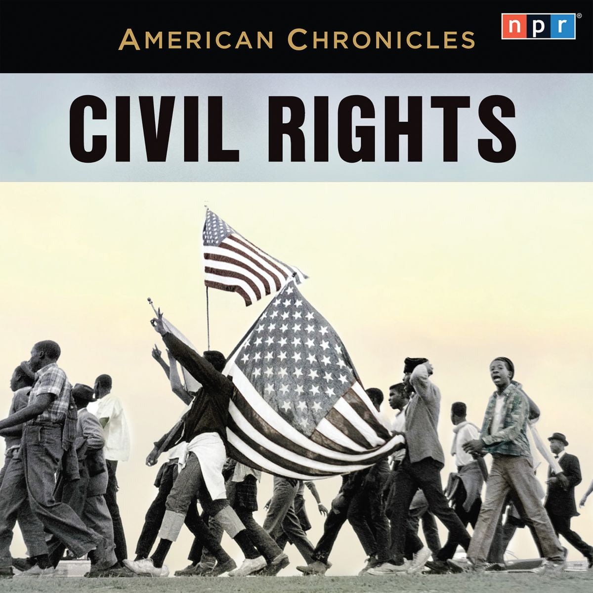 NPR American Chronicles Civil Rights Audiobook