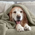 thumbnail image 6 of Vellux King Plush Texture Blanket | Ultra Soft Lightweight All-Season Throw | Sage, 6 of 8