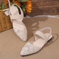 thumbnail image 4 of DIVVce Slingback Flats For Women Floral Embroidery Sheer Mesh Single Woven Instep Strap Pointed Toe Slip On Flat Slingback Shoe Footwear, 4 of 7