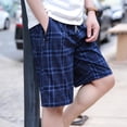 thumbnail image 2 of Wholesale New Loose Fashion Shorts Pure 100% Cotton Casual 4 color Selection Plaid Clothing Beach Shorts Men, 2 of 5