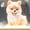 Yellow, variant on REGALWOVEN Cartoon Light Up Crystal Ball - Resin Snow Globe Figurine, Cute Desktop Night Light Pink 1.8"L x 1.8"W x 2.7"H