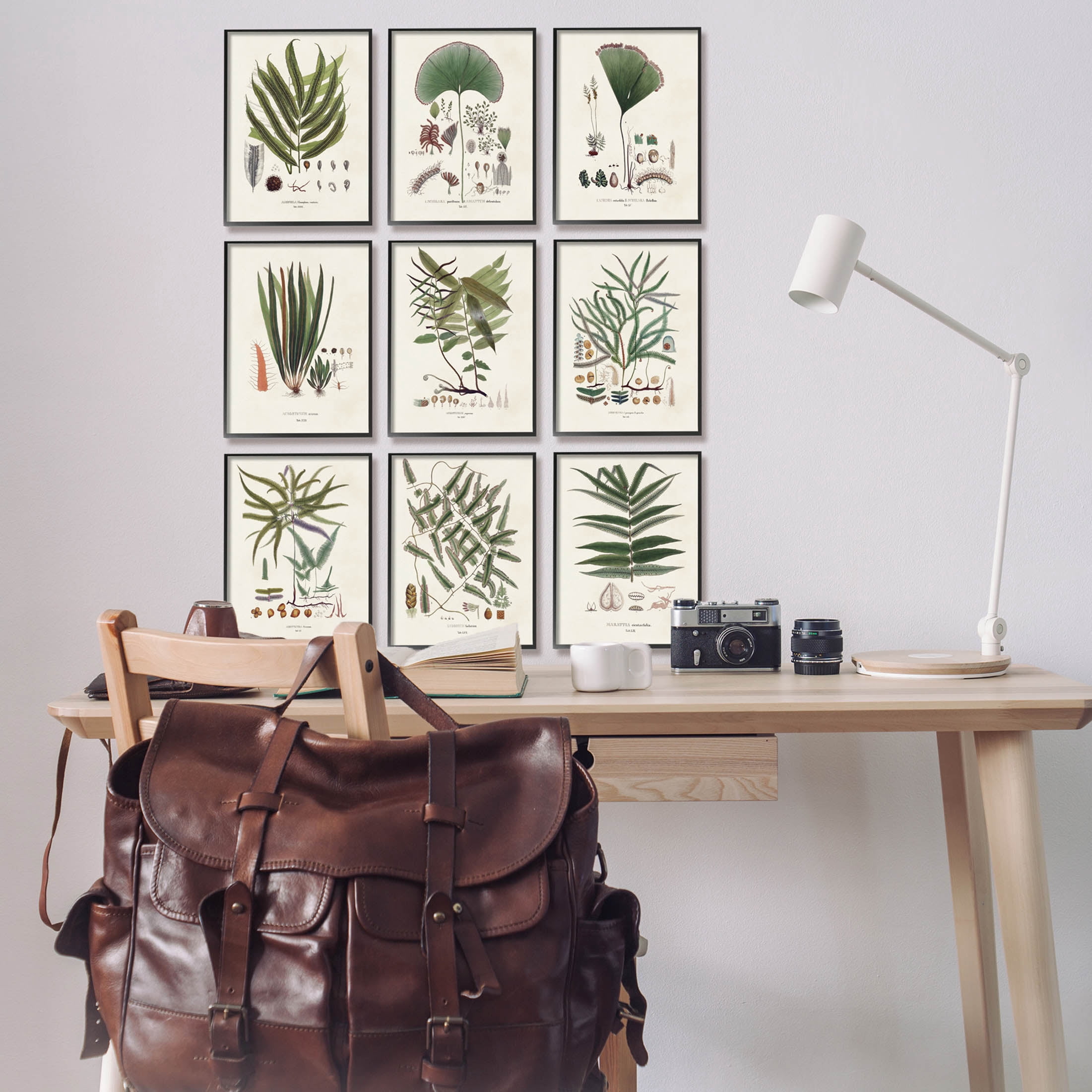 Stupell Industries Antique Leaves Vintage Studies Graphic Art Black Framed Art Print Wall Art, Set of 9, Design by Vision Studio