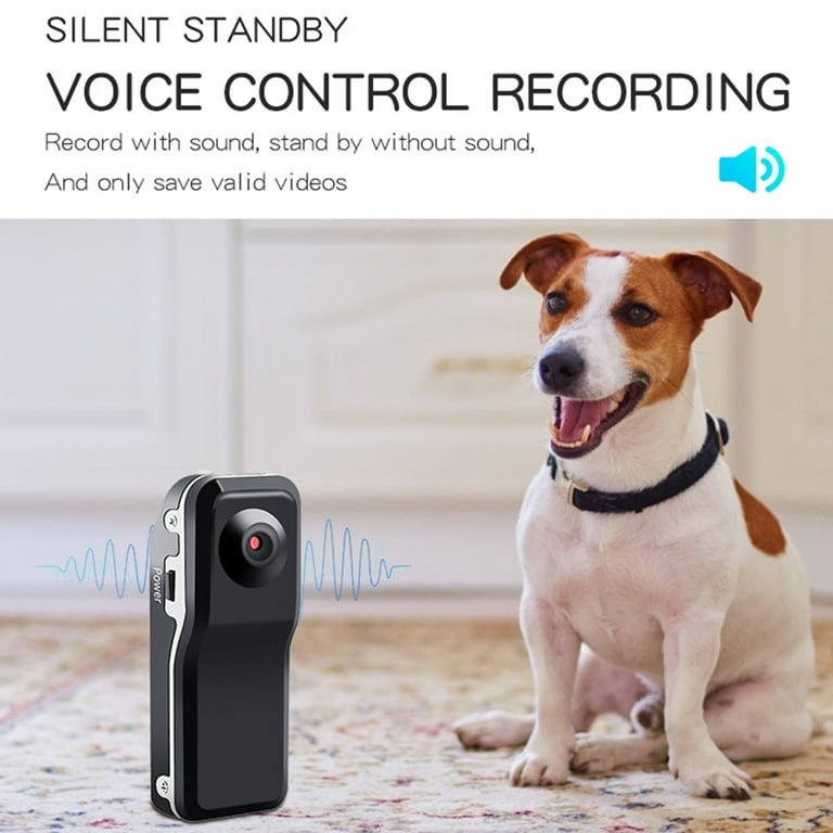 Wearable dog camera 2025
