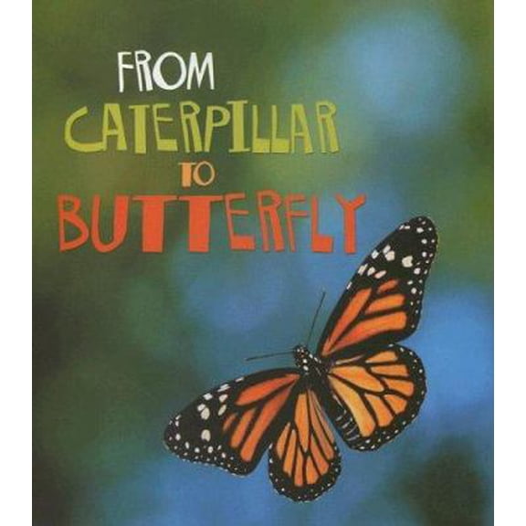 Pre-Owned From Caterpillar to Butterfly (How Living Things Grow) (Paperback) 1403478643 9781403478641