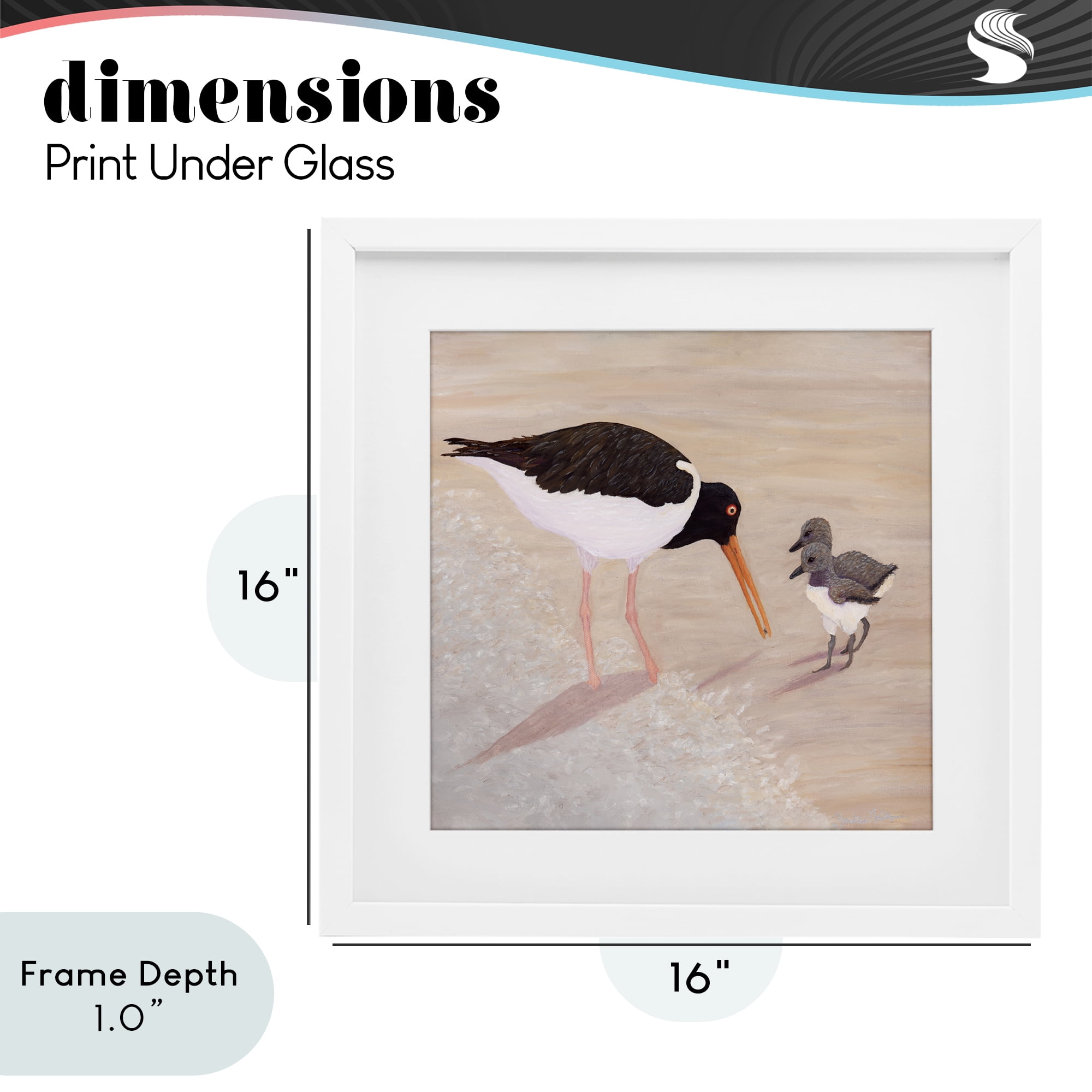 Stupell Industries American Oyster Catcher & Chicks White Framed Print Under Glass, design by Barbara Fallenbaum