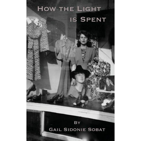 How the Light is Spent (Paperback)