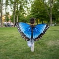 thumbnail image 3 of Insect Lore Dress-Up Morpho Butterfly Wings, Blue, Pack of 3, 3 of 4