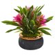 thumbnail image 1 of Planta Artificial Bromelia Casi Natural con Maceta de Loza 28 cm, 1 of 3