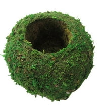 Moss Ball Flower Pot, 6 Inch Bird Nest Shape Moss Ball Planter, Green Bonsai Plant Holder, Japanese Style Natural Planter, Moss Weave Garden Decor Flower Holder, Moss Ball Planter