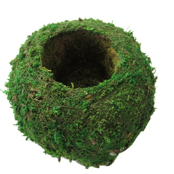Moss Ball Flower Pot, 6 Inch Bird Nest Shape Moss Ball Planter, Green Bonsai Plant Holder, Japanese Style Natural Planter, Moss Weave Garden Decor Flower Holder, Moss Ball Planter