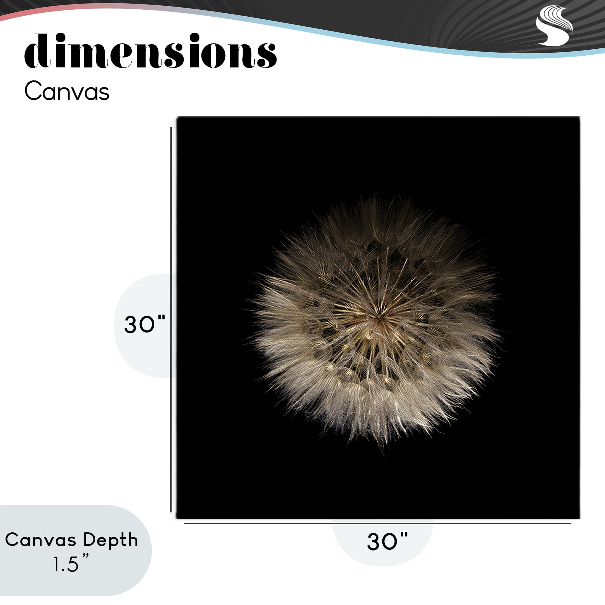 Stupell Industries Wispy Dandelion on Black Canvas Wall Art, design by Beth Adoette