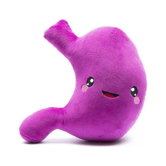 Stomach Plush Organ Toys- I’ve Gut a Good Feeling About This! - Nerdbugs Stomach Plushie Organ Toys