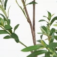 thumbnail image 4 of Nearly Natural 7ft. Artificial Minimalist Olive Tree in White Decorative Planter, 4 of 10