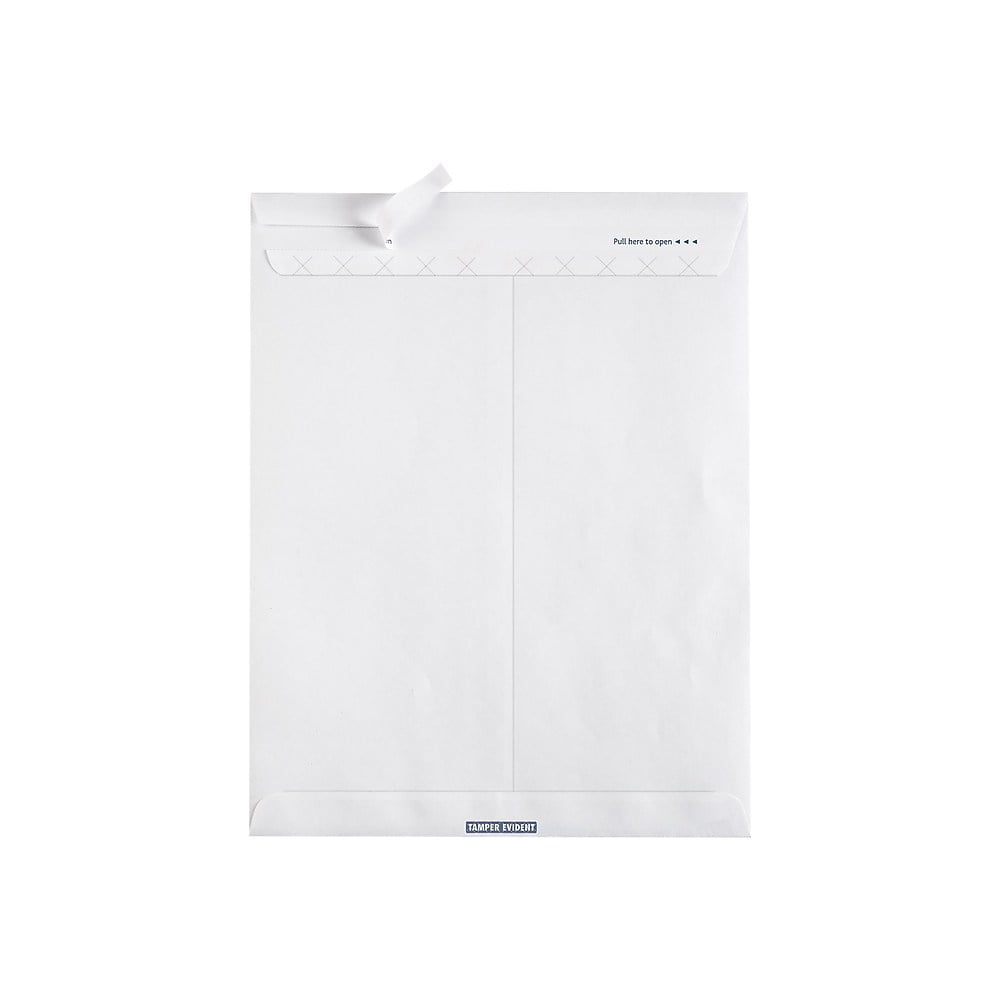 Staples TamperEvident SecurityTinted EasyClose Catalog Envelopes