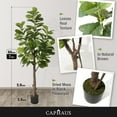 thumbnail image 2 of CAPHAUS 6 to 7 ft Fig Artificial Tree in Pot with Dried Moss, 2 of 9