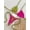 B, variant on Womens Two Piece Swimsuit Contrast Print Bikini Set Triangle Halter Top Side Tie High Cut Swim Bottom Summer Beach Bathing Suit Zebra Strawberry Solid Multi Color Options S M L Swimwear