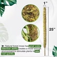 thumbnail image 3 of Poste de musgo de coco, 1 pieza de poste de musgo real, palos de musgo, soporte para plantas, tecnología de vanguardia, 3 of 8