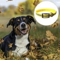 thumbnail image 3 of Translucent reflective waterproof dog collar strong coated nylon webbing with black hardware, 3 of 5