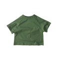 thumbnail image 1 of Camisetas de verano para niños, camisetas de algodón de Color sólido para niños, nueva moda para niños y niñas, Top de manga corta, ropa de 2-7T, camisetas saludables Tan Jianjun unisex, 1 of 2