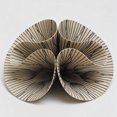 thumbnail image 4 of SIO-2 PCLI Paper Stoneware Ceramic Pottery Clay | 4 lb, Cone 02-8 | High Fire Kiln-Fired Clay, 4 of 6