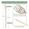 thumbnail image 6 of Hyasfey Electroculture Plant Stakes Copper Gardening Antenna Stakes Spiral Copper Wire on Wooden Stakes for Electroculture Plants Fruits Vegetables Growth High-Yield, 6 of 7