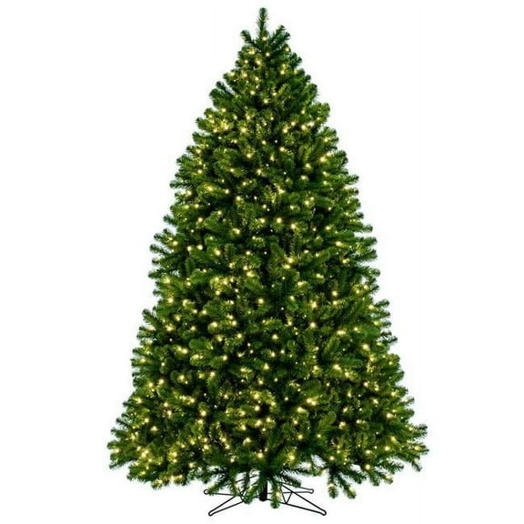 Vickerman G237576LED 7.5 ft. x 61 in. Deluxe Sequoia 5 mm WA 1250WW Christmas Tree, Green