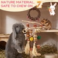 thumbnail image 4 of Threns Bunny Chew Toys for Teeth,Hanging Chewing Toy and Treat for Guinea Pig Chinchilla Hamster Rat and Other Small Pet Teeth Grinding,2Pcs, 4 of 10