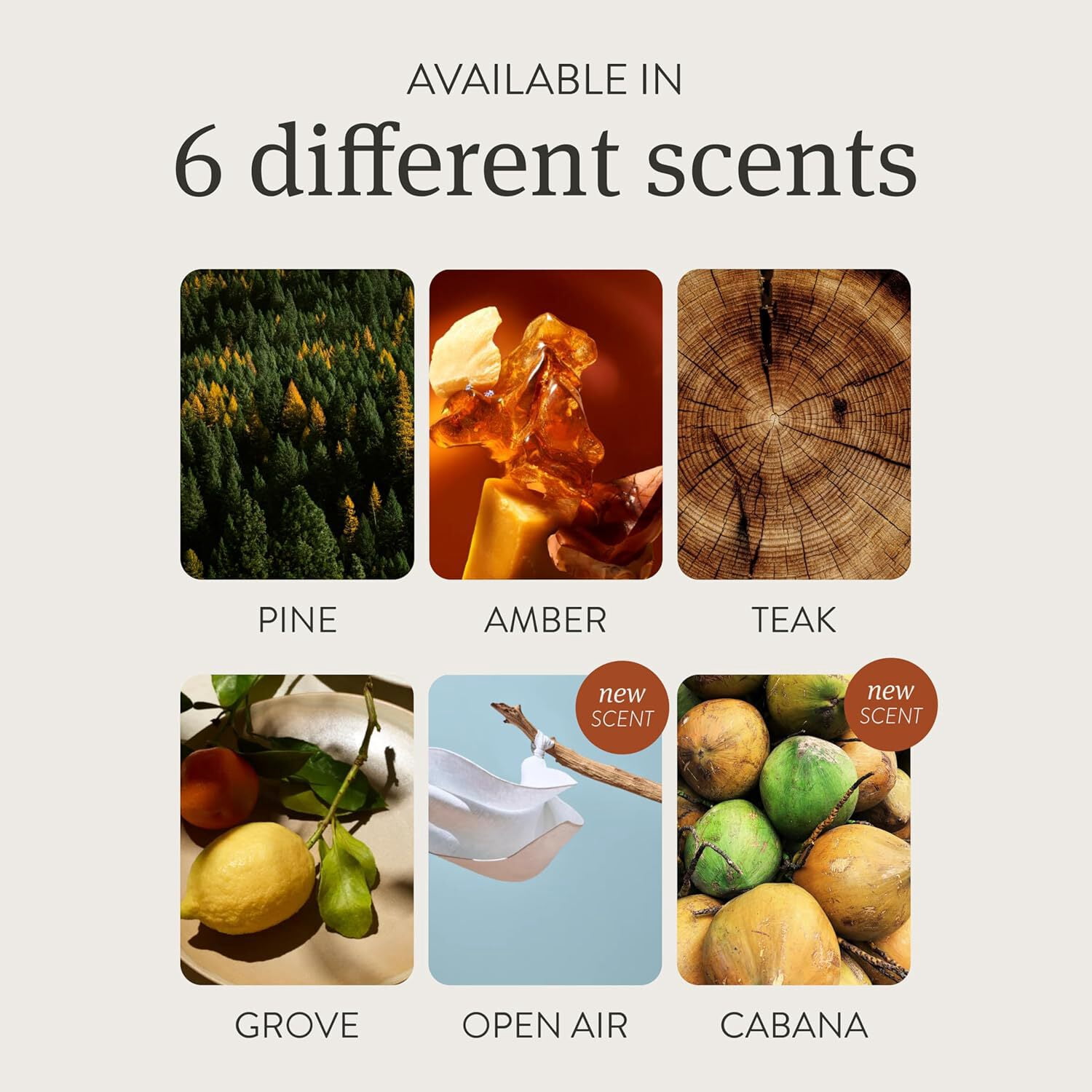 🌟 Luxurious Aroma – Drift Cabana Scent Wood Air Freshener | Ultimate Car Odor Eliminator for Sophisticated Drivers