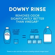 Downy Rinse Out Odor Laundry Rinse, Tackles Tough Odors and Refreshes, Ocean Mist Scent, 25.5 fl oz