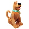 Scooby Doo Scooby-Doo Plush (Sitting)