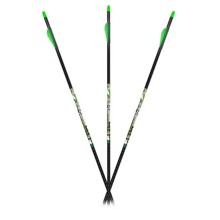 Carbon Express D-Stroyer Piledriver Arrows