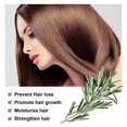 thumbnail image 3 of Rosemary Essential Oil, Rosemary Oil for Organic, Dry Damaged and Growth, Scalp Treatment, Thickening Moisture Loss Regrowth, 3 of 5