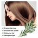 thumbnail image 3 of Rosemary Essential Oil, Rosemary Oil for Organic, Dry Damaged and Growth, Scalp Treatment, Thickening Moisture Loss Regrowth, 3 of 5