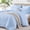 Light Blue, variant on Lipa Queen Size Comforter Set,5-Piece Bed in a Bag,All Season Bedding Set,Ruched Design,Comforter,Pillowcases and Shams,Beige