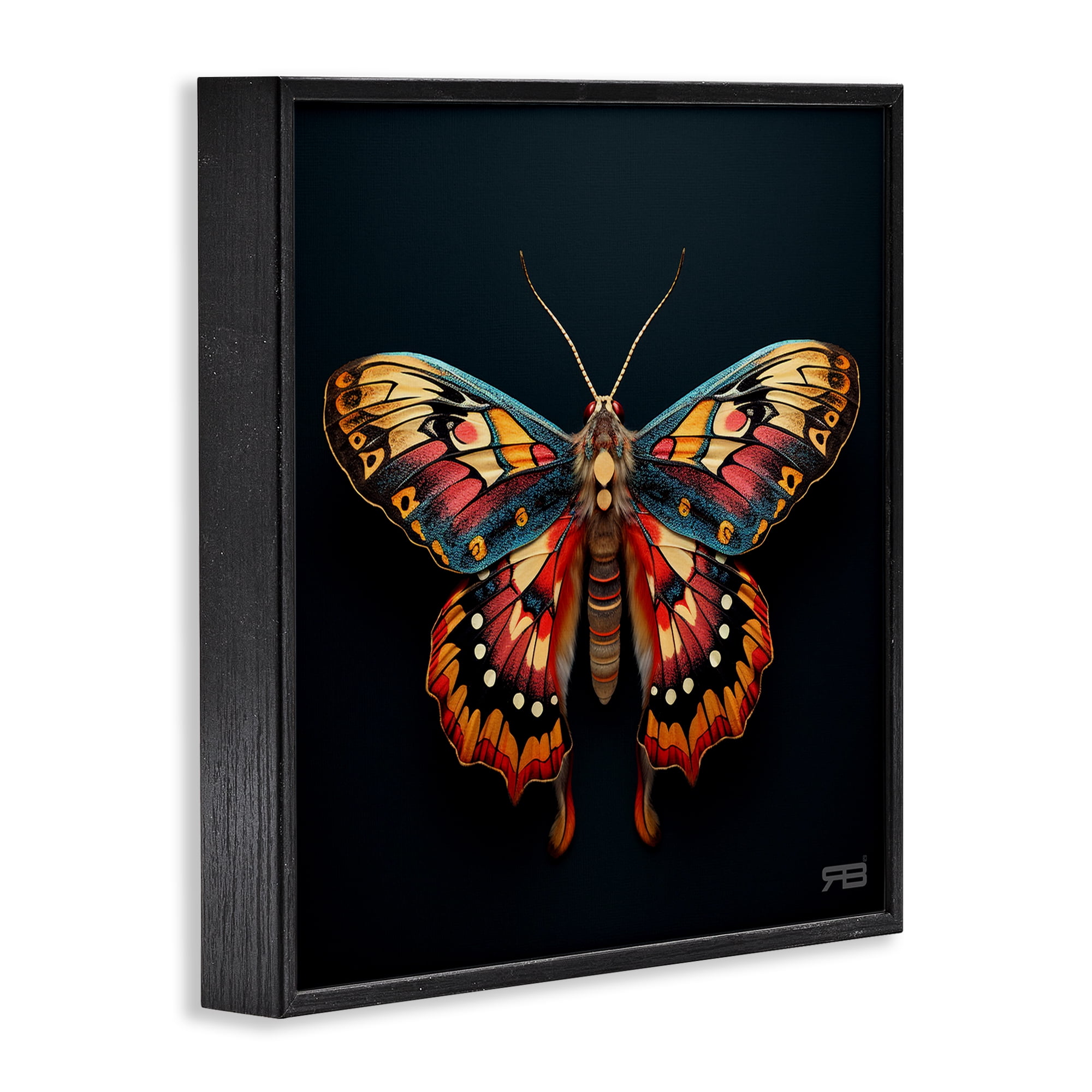 Stupell Industries Vivid Patterned Moth Animals & Insects Painting Black Framed Art Print Wall Art, 12 x 12
