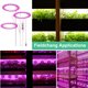 thumbnail image 3 of Injueey Invernadero USB IP20 Control de línea a prueba de agua LED Grow Light Flor de interior Suculenta Temporizador Lámpara de cultivo de plantas Jardín y Patio  1 cabeza de luz solar Injueey HA011800-01B, 3 of 6