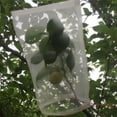 thumbnail image 3 of 50pcs Plant Seed Protection Bags Reusable Nylon Fruit Covers Insect Proof Drawstring Mesh, 3 of 9