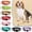 Black, variant on Pet Collar Reflective with Safety Buckle & Padded Anti-Lost Neck Strap for Medium & Large Dogs,Night Safety Outdoor Walking Gear