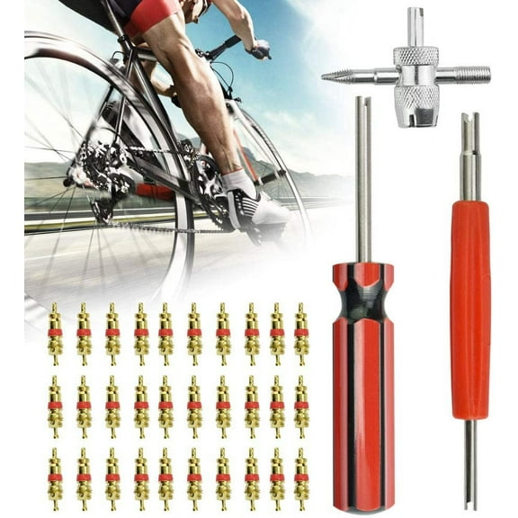 BUZIFU 33pcs Valve Core Remover Tool, Tyre Valve Stem Removal Tool Kit with 30Pcs Valve Cores/4 in 1 Tyre Valve Repair Tool/Dual & Single Head Valve Core Removers for Car/Bicycle/Motorcycle