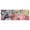 Pioneer Flower Floral-2, variant on Pioneer Flower Floral Print Pattern Kitchen Rug Mat,Kitchen Runner Rugs Non Skid Washable,Decorative Kitchen Floor Mats for Kitchen,Sink,Laundry,17"X47"