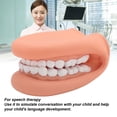 thumbnail image 4 of Modelo De Cuidado De Los Dientes, Marioneta De Mano Educativa Duradera Para La Enseñanza De Niños, 4 of 7