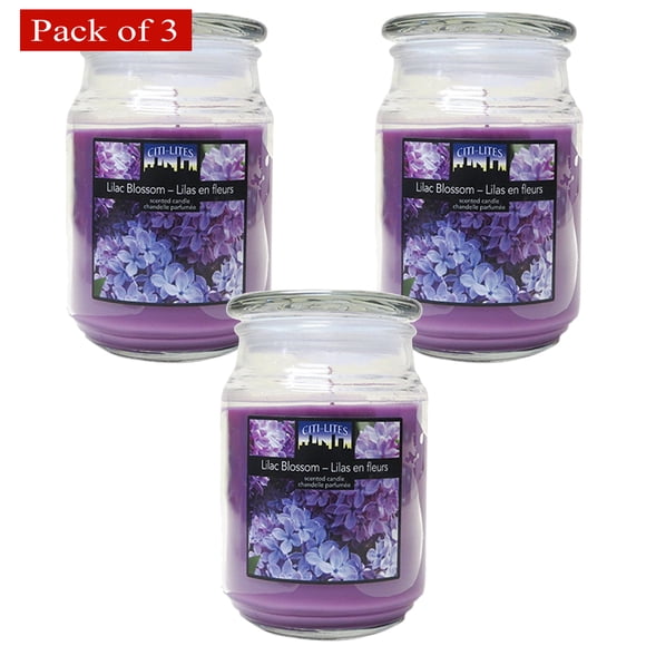 Candle Jars 18 Ounce Apothecary Jar-Lilac Blossom (Pack of 3)