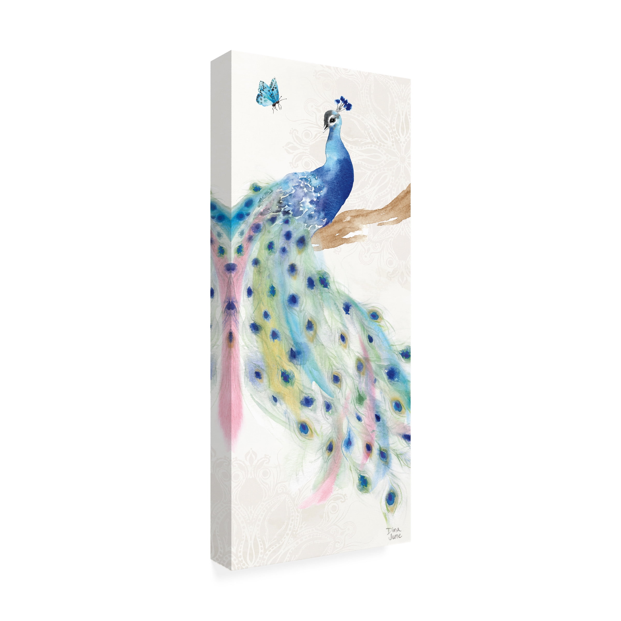 Dina June 'Peacock Glory II' Canvas Art