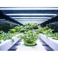 thumbnail image 5 of Feit Electric 20" 37W LED Indoor Table Top Plant Grow Light Fixture Daylight, 5 of 6