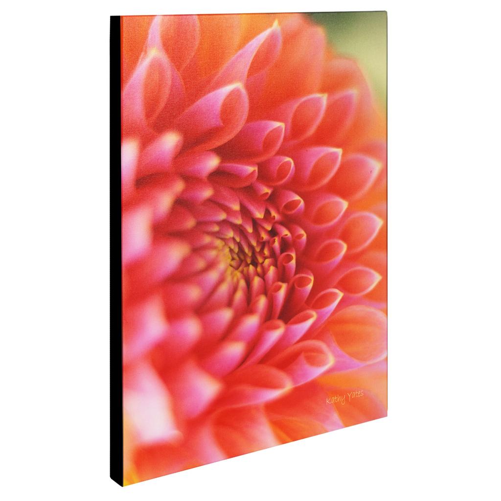 Trademark Fine Art 'New Beginnings' Canvas Art by Kathy Yates