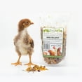thumbnail image 4 of EXOTIC NUTRITION EGG-CELLENT (6oz) CHICKEN NESTING HERBS, 4 of 4