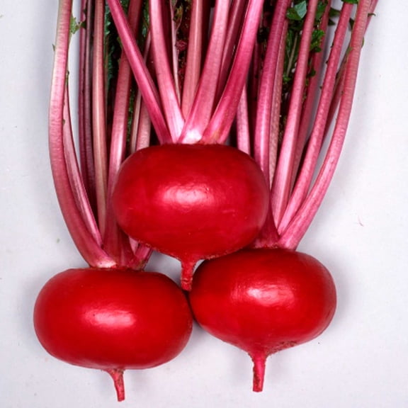 Turnip Seeds - Tsugaru Scarlet - Hybrid - 2 g Packet ~750 Seeds - Non-GMO, F1 Hybrid - Asian Garden Vegetable