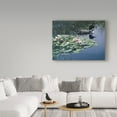 thumbnail image 3 of Trademark Fine Art 'Loon And Lilies' Canvas Art by Ron Parker, 3 of 3