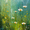 ForestGlow, variant on Vibrant Yellow Cosmos Field Canvas Print Wall Art for Living Room Bedroom Dining Room Kitchen Hallway Office Hotel Lobby