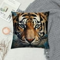 thumbnail image 2 of Shiartex Pillow Cover Tiger Double-Sided Design Home Decor for Sofa Livingroom Couch Bed Decorative Throw Pillow Case Gift 24x24in, 2 of 5